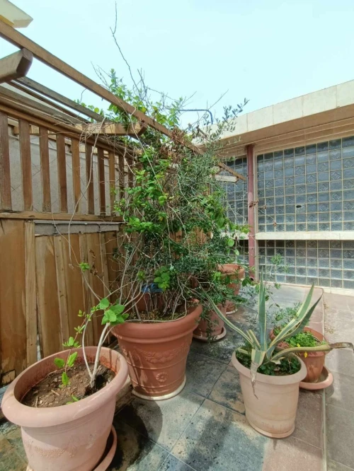 Location Villa Oran Bethioua