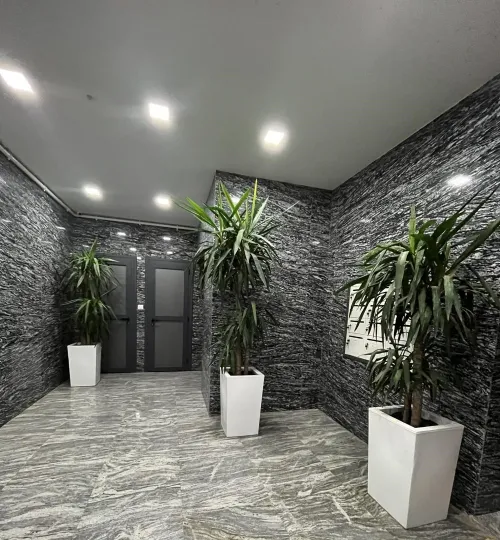 Vente Appartement F4 Oran Oran
