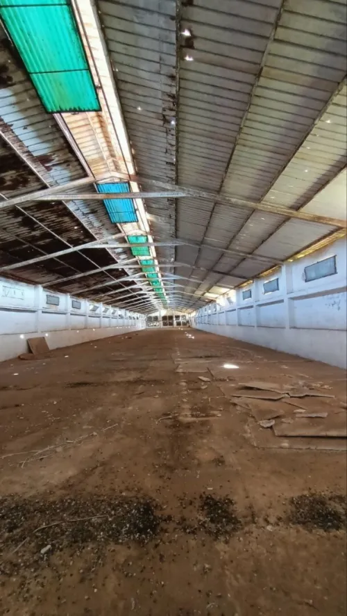 Location Hangar - Usine Oran El braya
