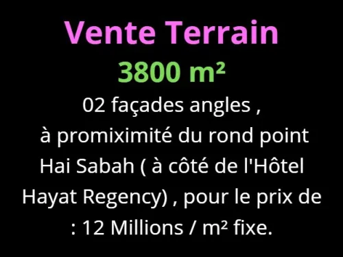 Vente Terrain Oran Bir el djir