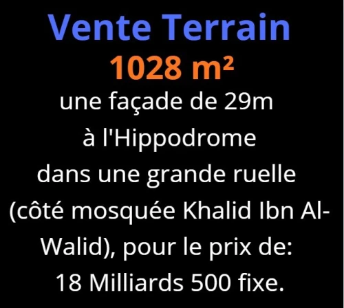 Vente Terrain Oran Oran