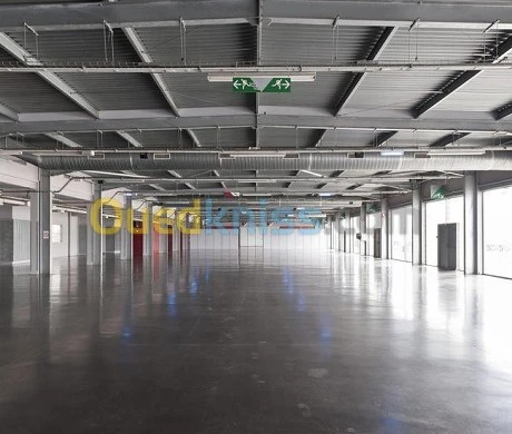 Vente Hangar Oran Oued tlelat