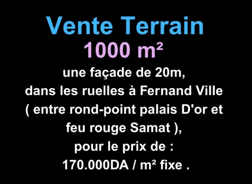 Vente Terrain Oran Bir el djir