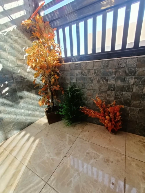 Location Appartement F3 Oran Oran
