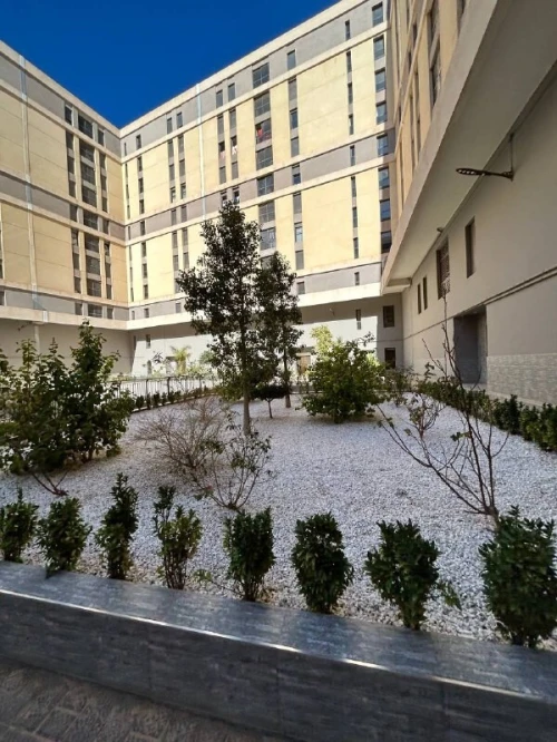 Location Appartement F3 Oran Oran