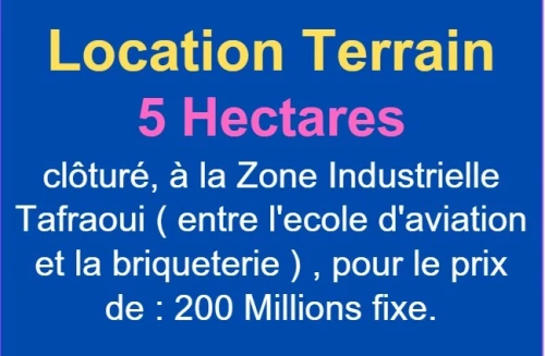 Location Terrain Oran Tafraoui