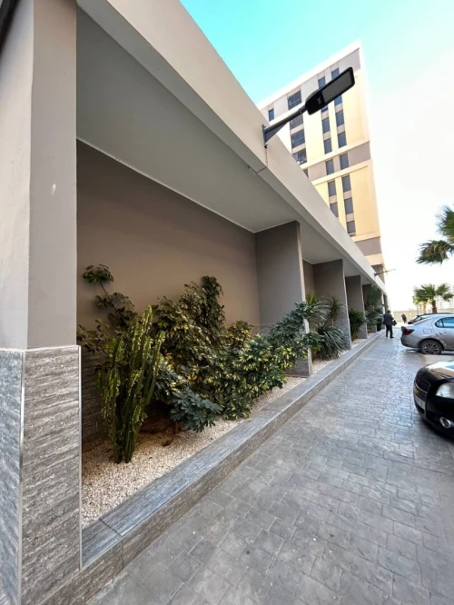 Location Appartement F3 Oran Oran