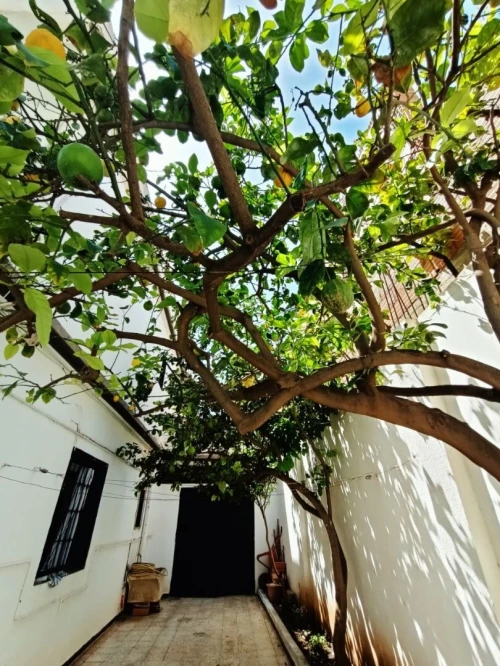 Vente Villa Oran Bir el djir