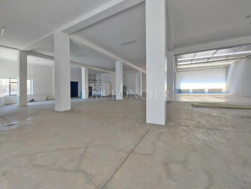 Location Hangar - Usine Oran Es senia