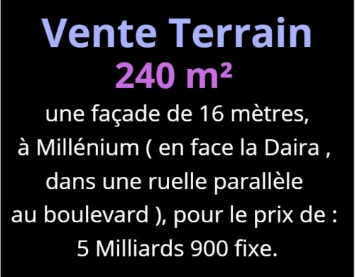 Vente Terrain Oran Bir el djir