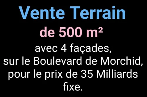 Vente Terrain Oran Bir el djir