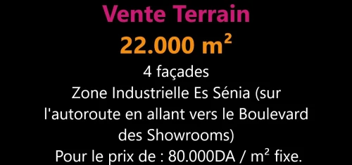 Vente Terrain Oran Es senia