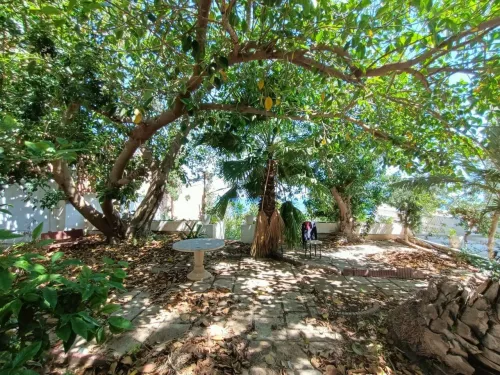 Location Villa Oran Ain el turck