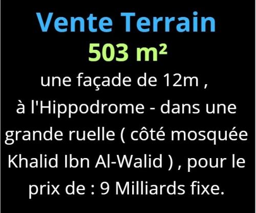 Vente Terrain Oran Oran