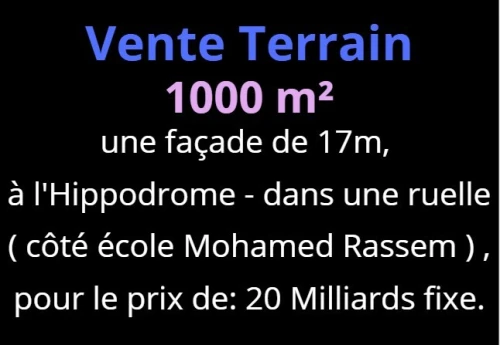 Vente Terrain Oran Oran