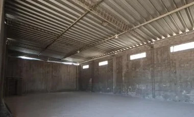 Location Hangar - Usine Oran Tafraoui