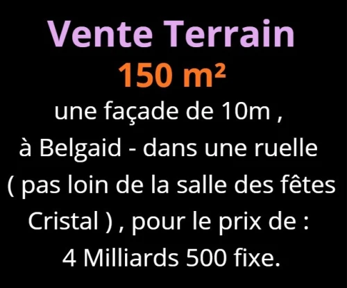 Vente Terrain Oran Bir el djir