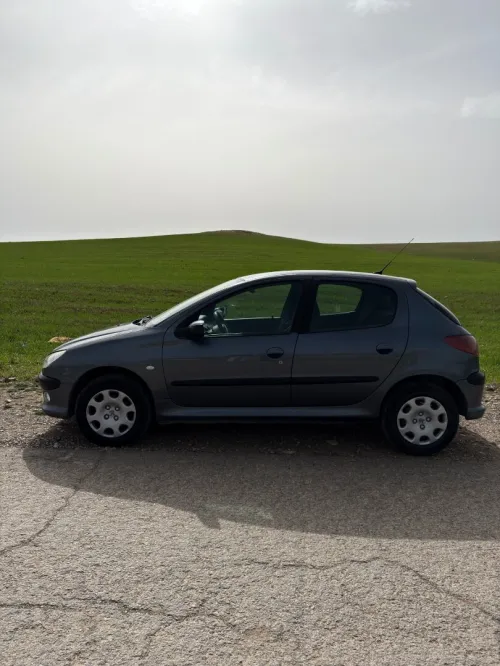 Peugeot 206 2006 
