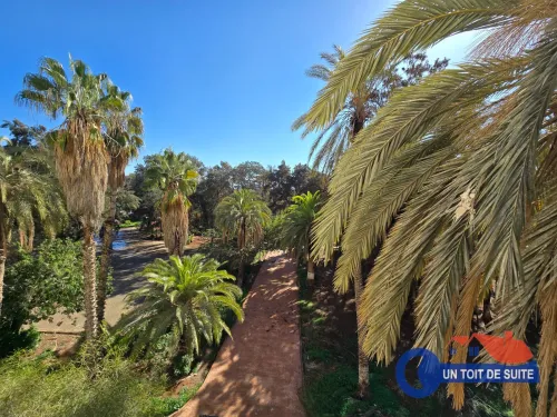 Vente Appartement F4 Oran Oran