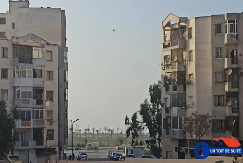 Location Appartement F3 Oran Oran