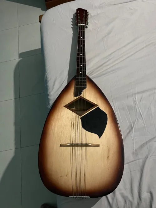 Mondol