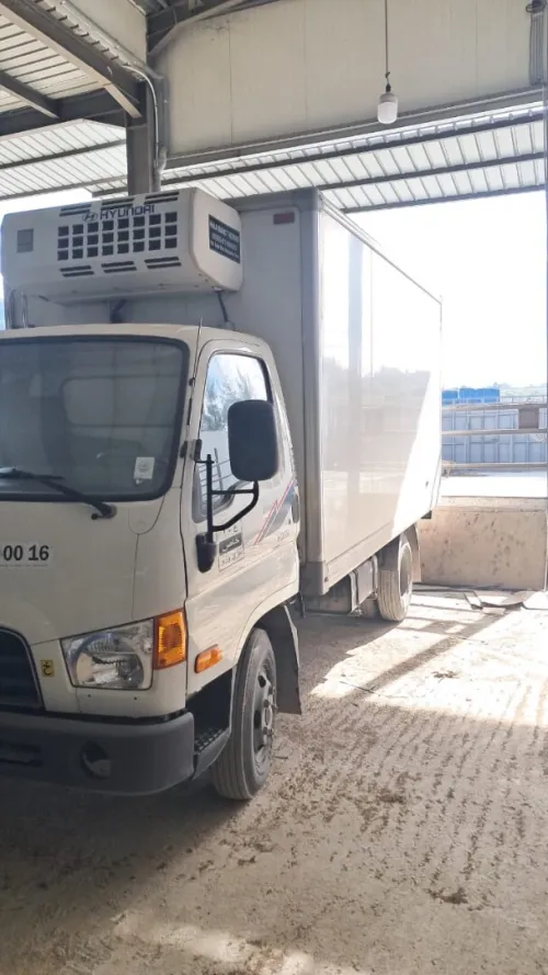 Hyundai HD65 