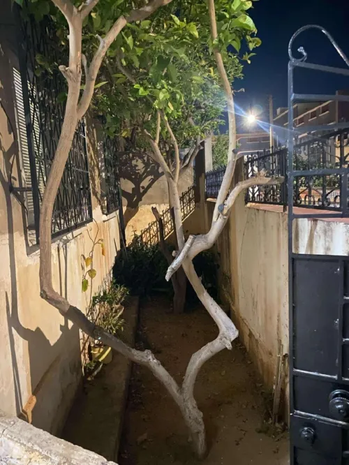 Vente Villa Mostaganem Mostaganem