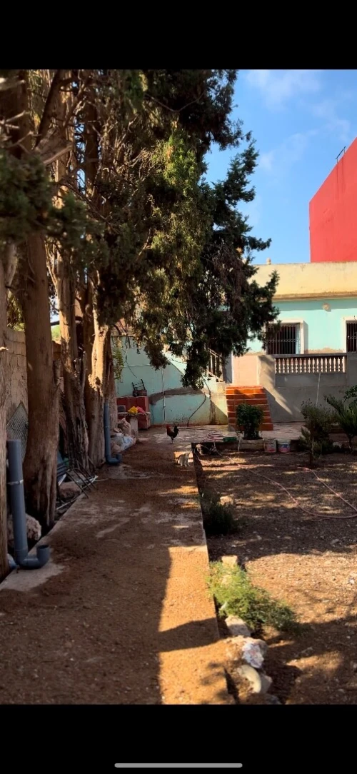 Vente Villa Aïn Témouchent Ain tolba