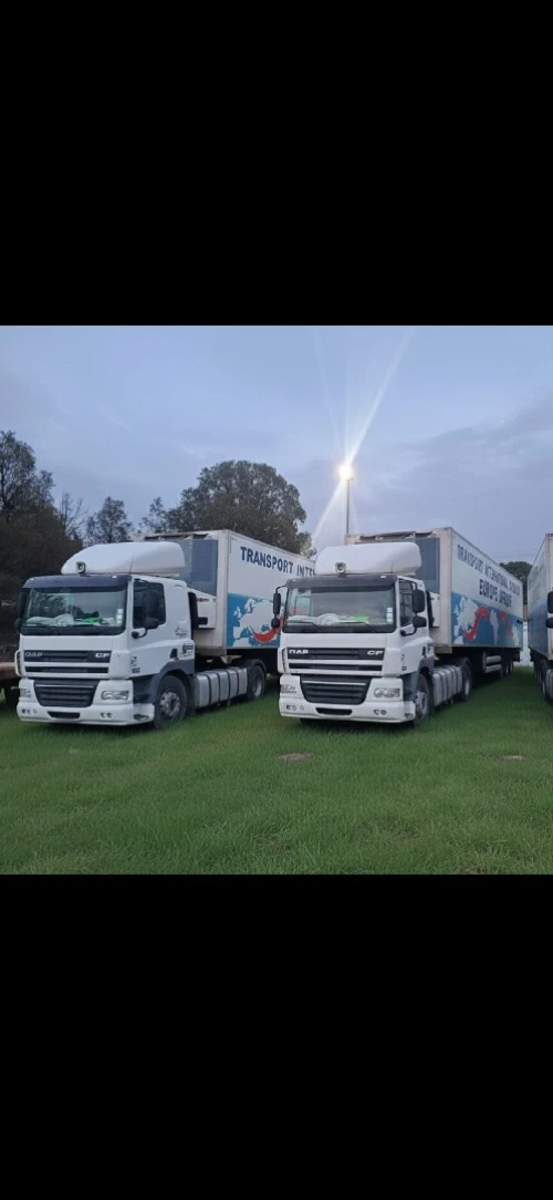 Transport marchandises international frigorifique