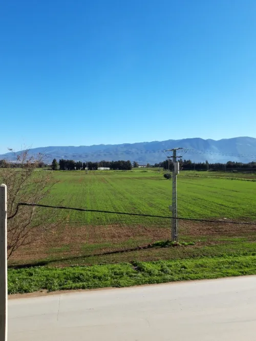 Vente Appartement F3 Blida Mouzaia