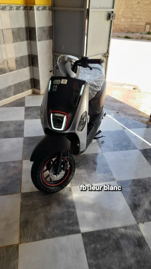 Vms Cuxi 2025