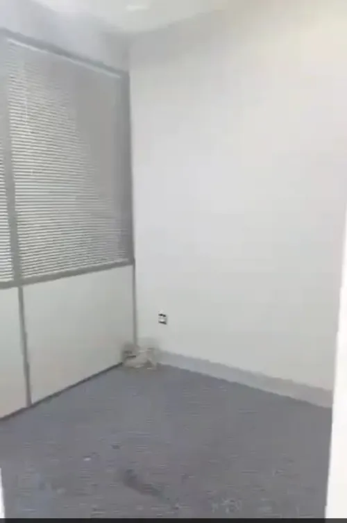 Location Alger Staoueli