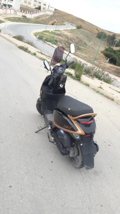 Vms Coxi2 2021