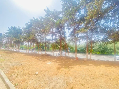 Location Local Alger Staoueli