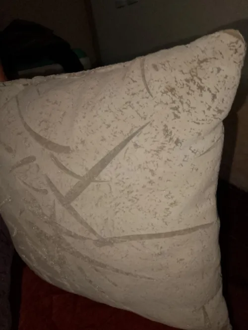 Coussin de salon