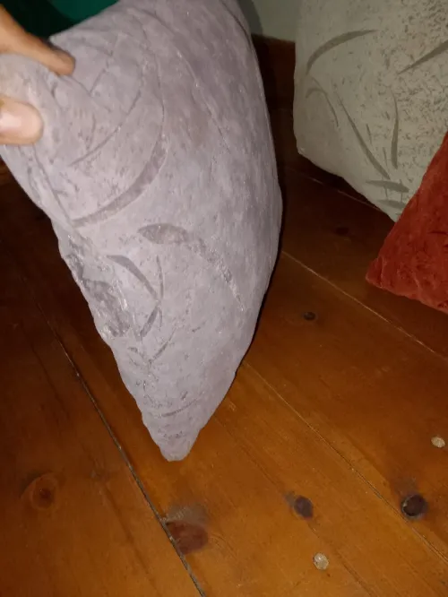 Coussin de salon