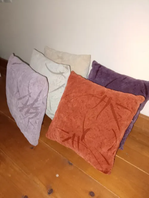 Coussin de salon