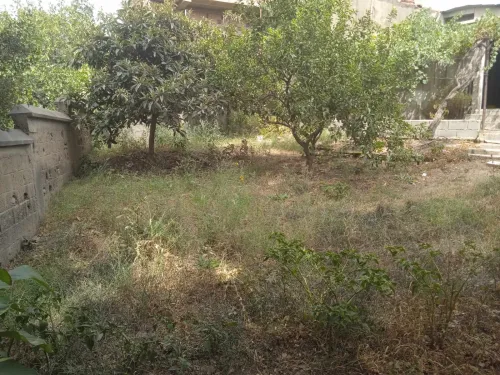 Vente Appartement Boumerdès Thenia