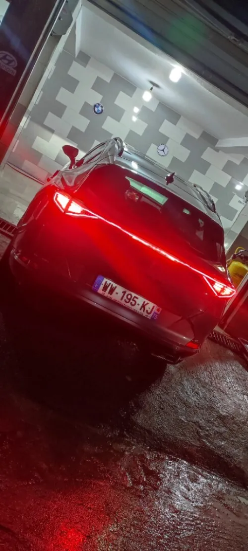 Cupra  Cepra 2023 