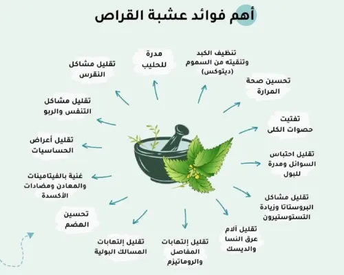 القراص