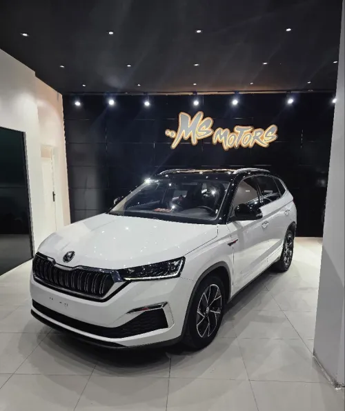Skoda Kodiaq 2024 Gt