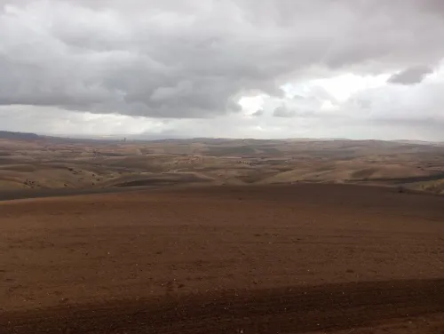 Vente Terrain Agricole Mascara El gaada