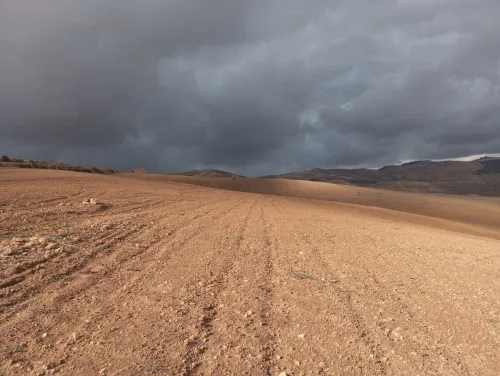 Vente Terrain Agricole Mascara El gaada