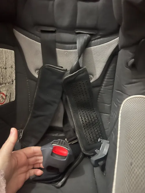 siege auto