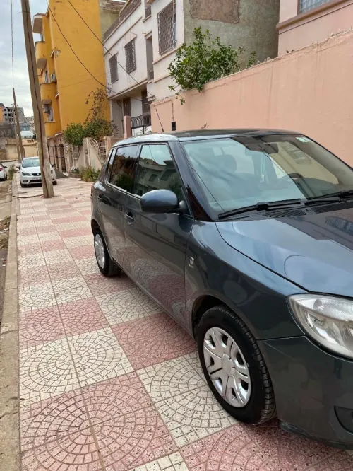 Skoda Fabia 2010 