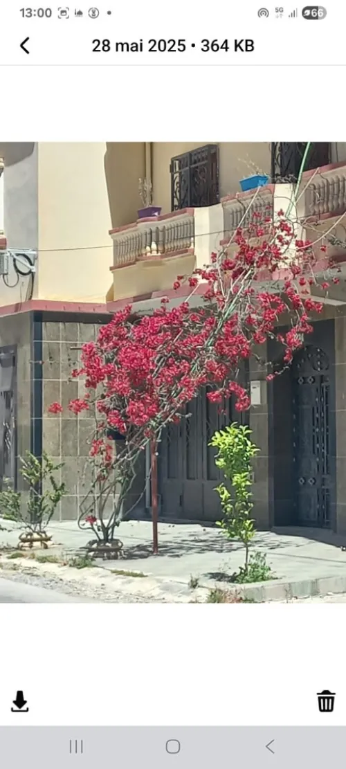 Location Local Constantine Ain smara