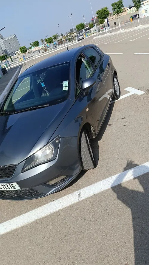 Seat Ibiza 2013 Fully