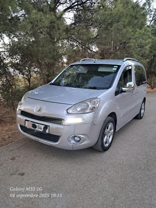 Peugeot Partner 2014 Tepee