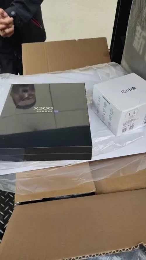 Vivo X300