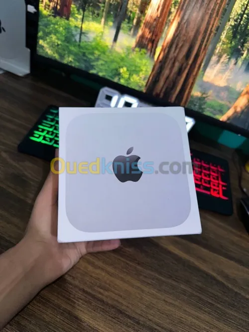 Apple Mac Mini M4 16 Go RAM / 256 Go SSD